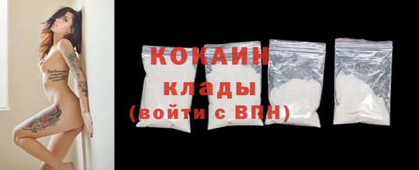 амф Пестово