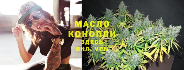 амф Пестово