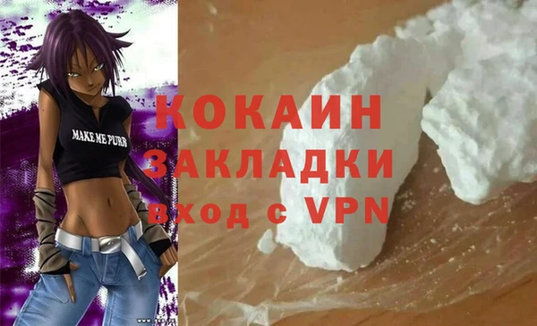амф Пестово