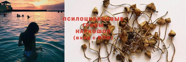 скорость Пересвет