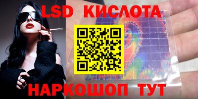 прущие грибы Донской