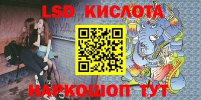 крисы Гатчина