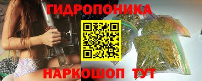 прущие грибы Донской