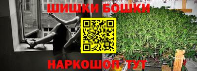 крисы Гатчина