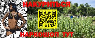 крисы Гатчина