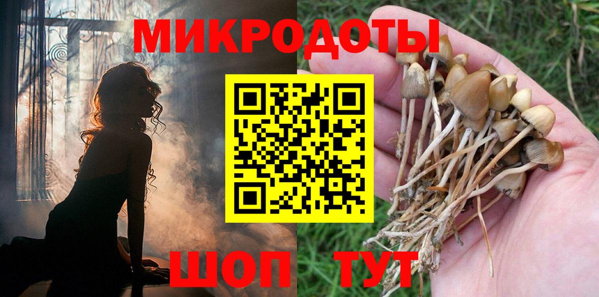 закладка  Галлюциногенные грибы GOLDEN TEACHER  Вход с VPN  Уварово  Псилоцибиновые грибы Psilocybine cubensis 