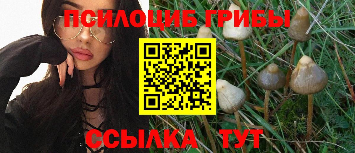 Псилоцибиновые грибы GOLDEN TEACHER Уварово